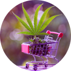 Sales